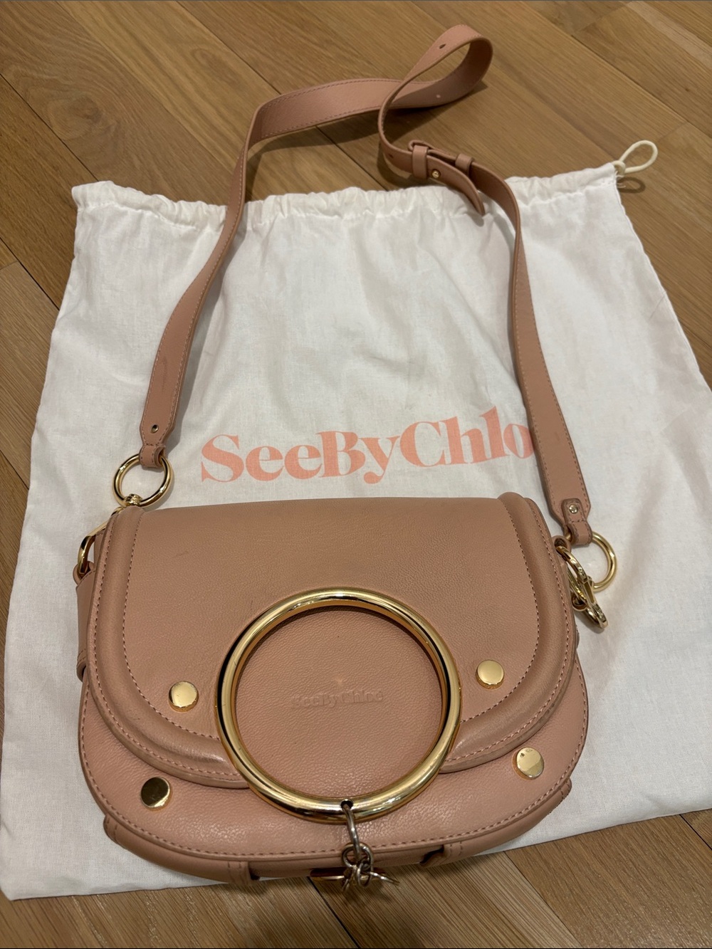 See By Chloe Dusty Pink Leather Crossbody with Gold Ring